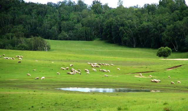 中字文幕不卡在线视频 文幕但注意手机空间