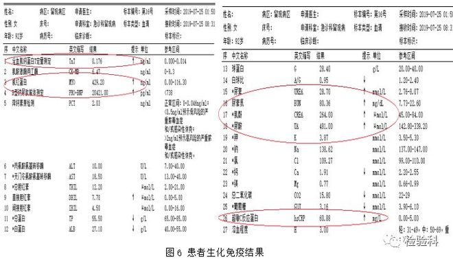 在线小马拉大车
