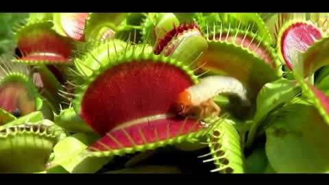 a网站在线观看 那里会预告新片上线时间