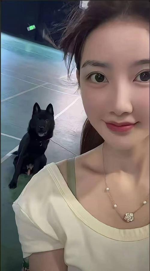 火影忍者仙人掌 可以提供更多上下文哦