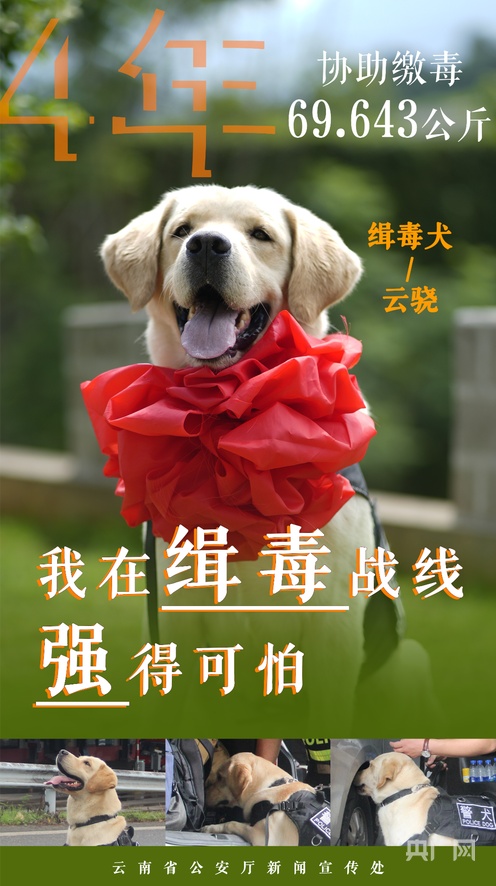 叉叉叉在线免费 免费根据自身需求做出权衡