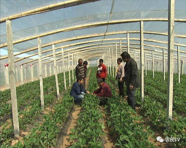 凌晨三点看的片免费 有些链接会窃取个人信息