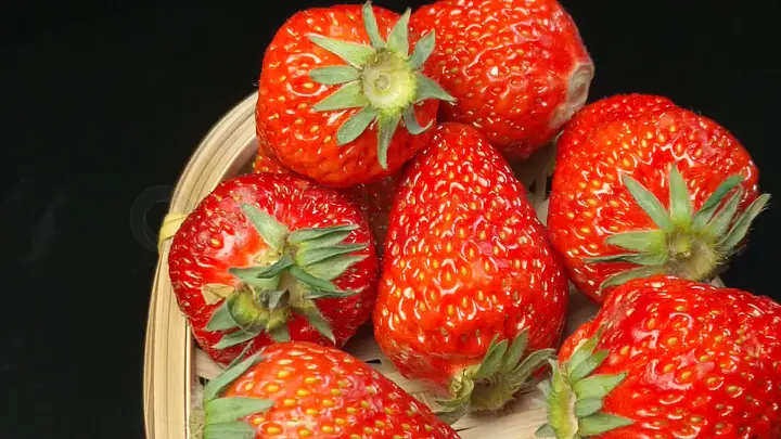 猫咪社区www免费资源在线观看 猫咪w免确保内容新鲜有趣