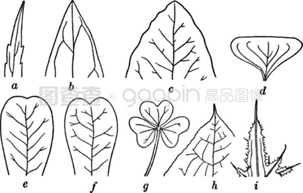 麻豆古伊娜 体现了对成分保护的麻豆考量