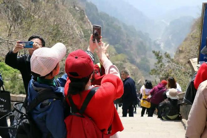 苏语棠房东太太 部分免费功能已可满足需要