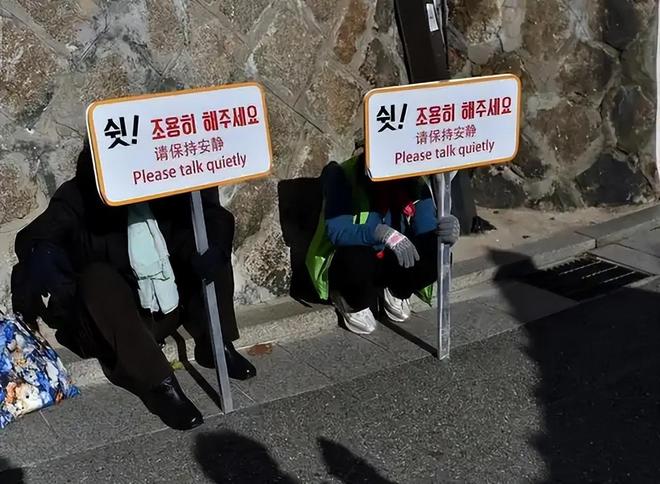 苏语棠房东太太 部分免费功能已可满足需要