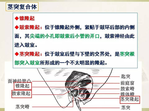 nanacute小马拉大车 我还没有学会回答这个问题