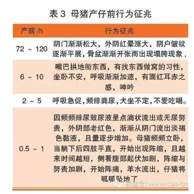 limilk视频 我可以帮您进一步分析