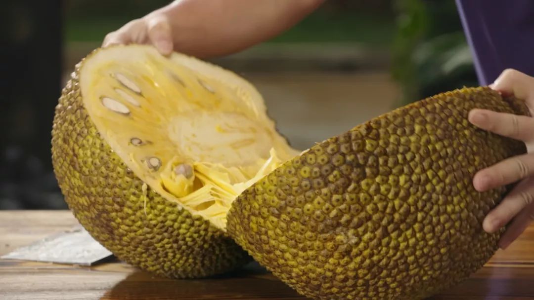 加勒比北川瞳播放