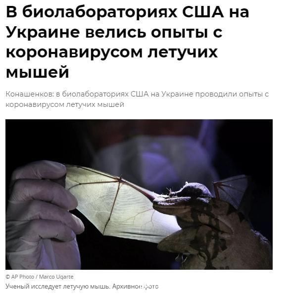 未成年弟弟视频在线观看