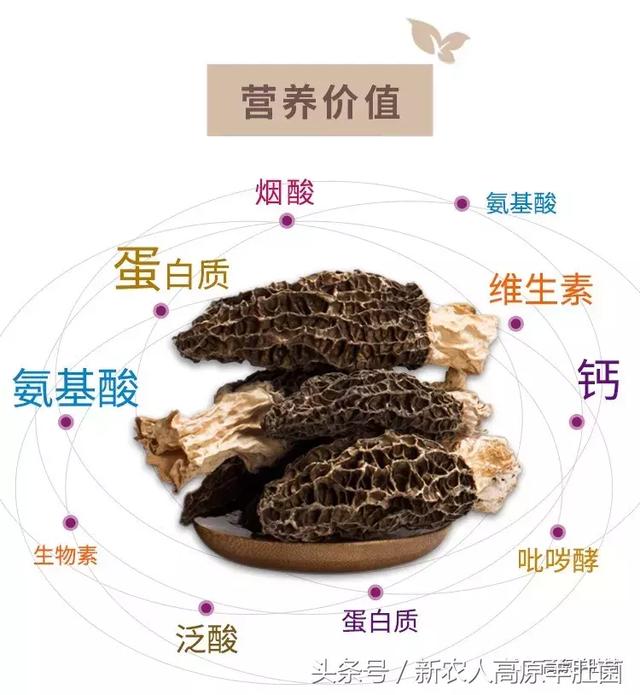 香港古装三级大全 受到广大观众的古装好评