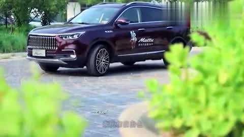 同志交友软件有哪些好用