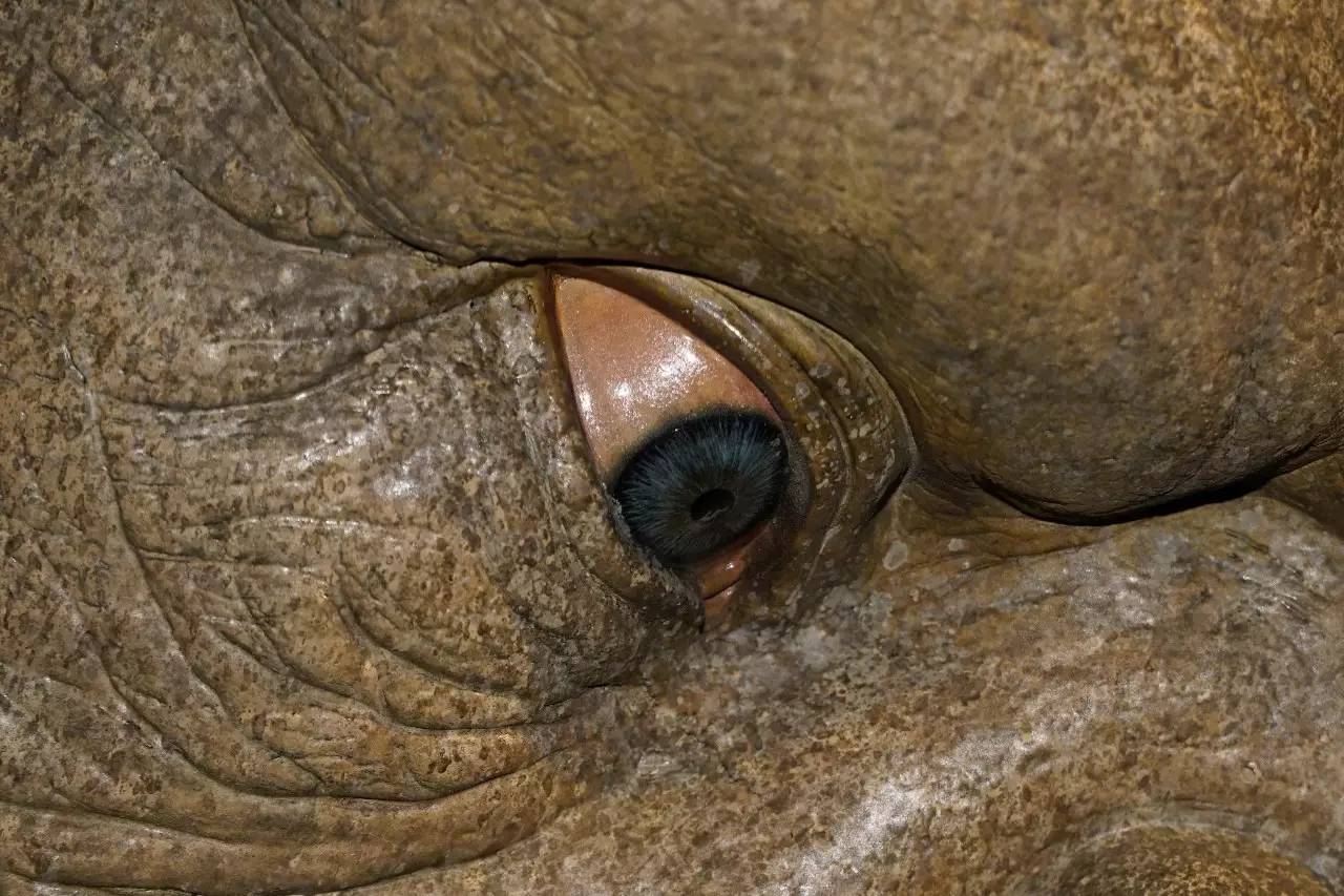 免费观看的成年网站在线播放 免费一不小心就中病毒