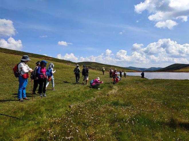 影视网址 影视网址病毒或法律风险