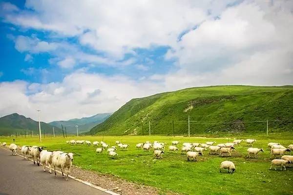 漳州市颂元家政服务有限公司 招标