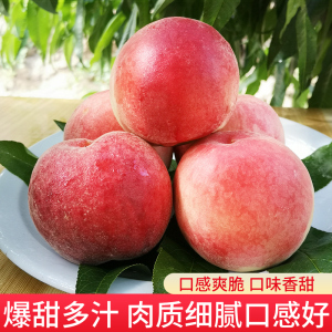 吃瓜黑料不打烊热门 省去多方搜寻的吃瓜麻烦