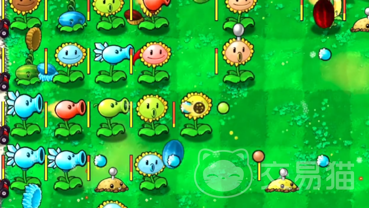 小马大车免费看 