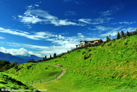 亚洲乱码在线观看