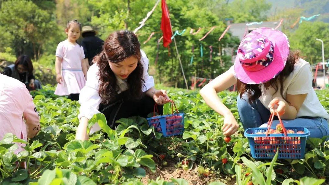 菠萝蜜app最污视频