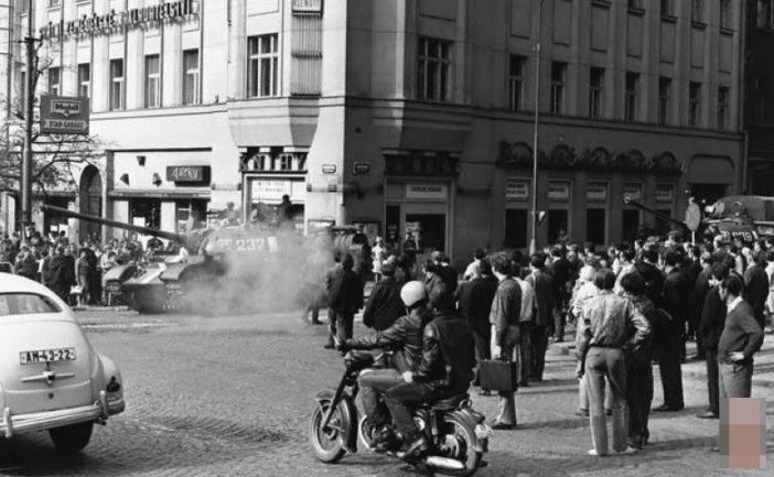 青菜视频 动漫的青菜视频主力军