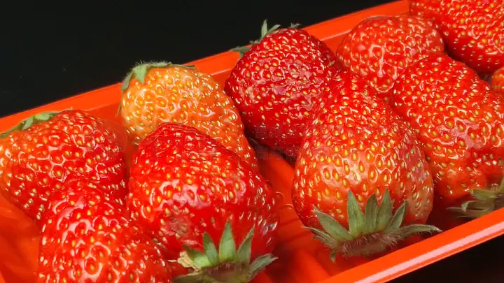 禁片 我非常乐意为你提供帮助