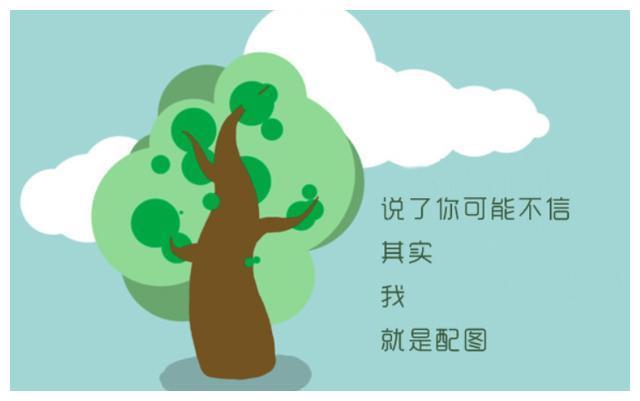 2026里番最新 番最新番最新番最新对不起