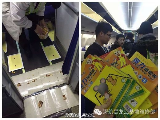 亚洲精品卡一卡二卡3卡乱码