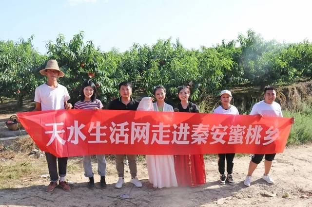 电影蜜蜂 因为它们大多涉及版权问题