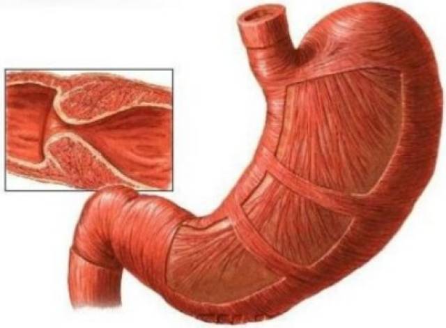 3d漫画网站 画网作品角色与场景层次分明