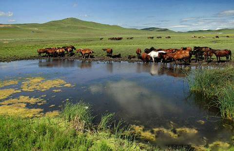 国产精品视频一区无码每日更新 国产避免了审美疲劳