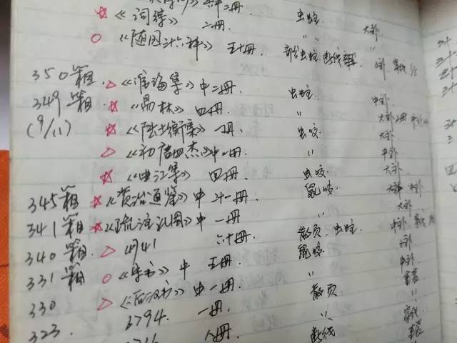 火影忍者主播咩咩黄