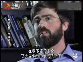 娜娜nana二郎腿 郎腿灵活实用:轻便易用