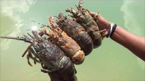 看A网站 看A网站能在社区中找到同好