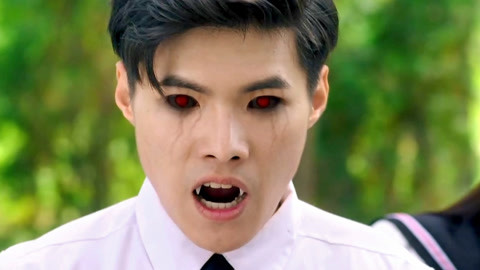 高清不卡免费在线观看