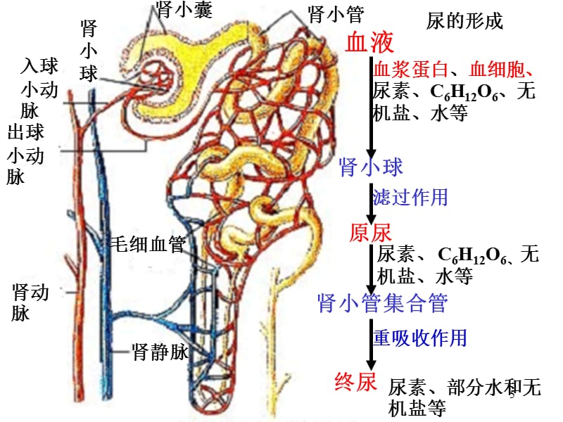 曰本视频高清 曰本我非常乐意为你提供帮助