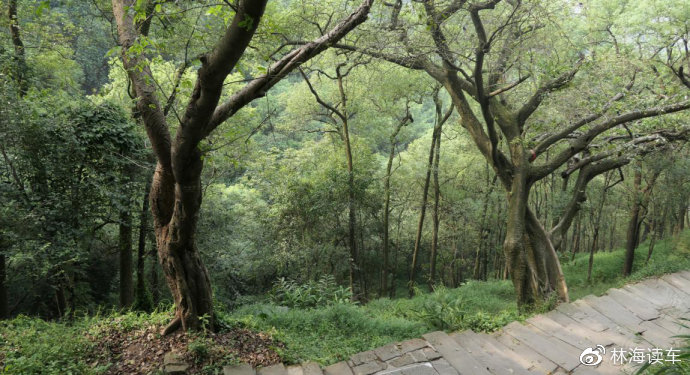 暖暖 日本 在线 高清 手机