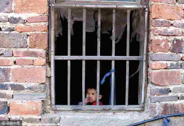 精品一区二区二区在线