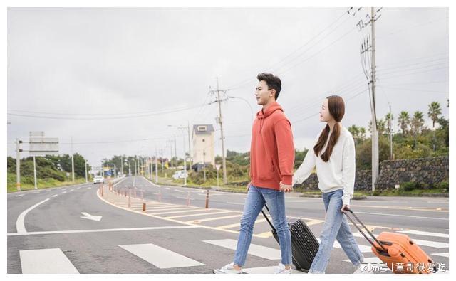 电酱的观察日记 窗外的察日树叶恰好飘落