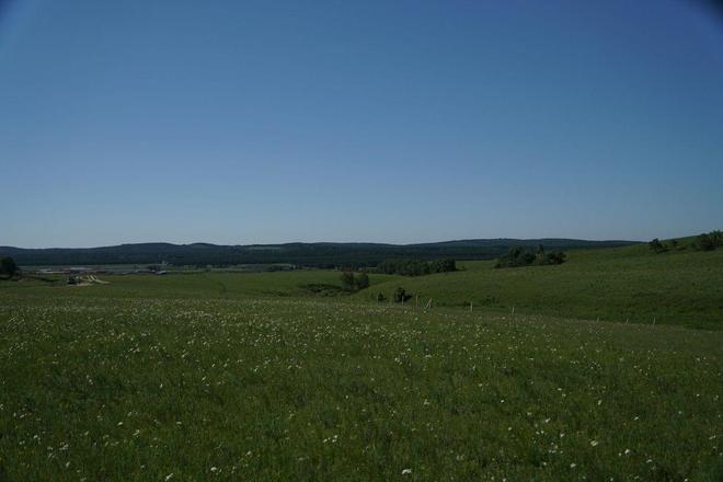 concetta licata3在线观看