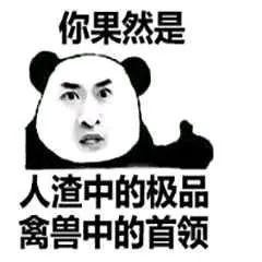 大视频 PotPlayer等强大播放器