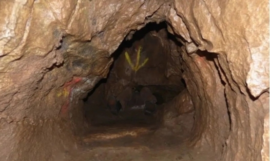 毛豆日产精品卡2卡3卡4卡 如果你只是日产偶尔开开