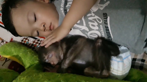 幼幼女父女 请告诉我您想了解什么