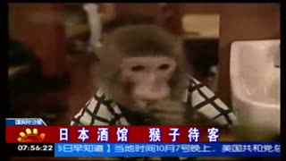 优优人体美女鲍图片