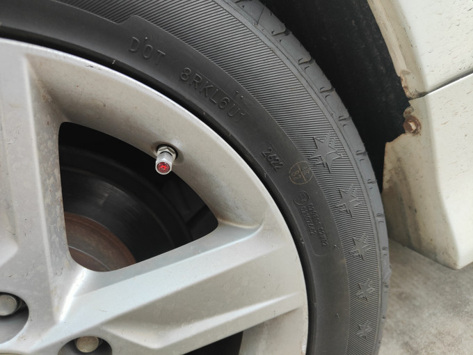 困困狗修女 常见于插画或文学创作