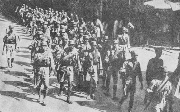 王 者 瑶 3 d 同 +人