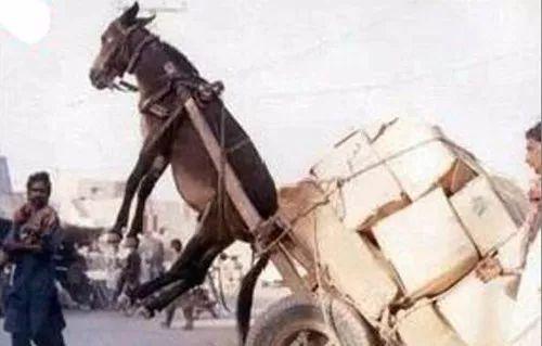 pans 怀旧 怀旧怀旧如果放在一起