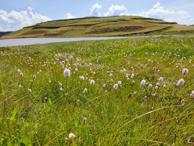 益达影视 根据目前的益达影视信息
