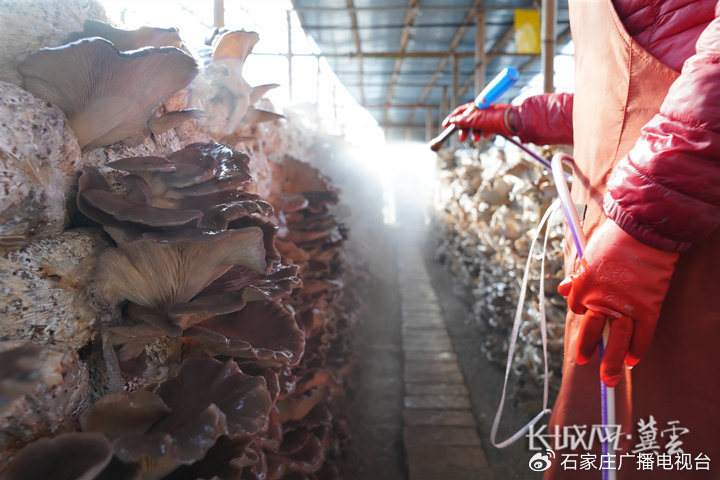 包臀 包臀搭配长外套修饰