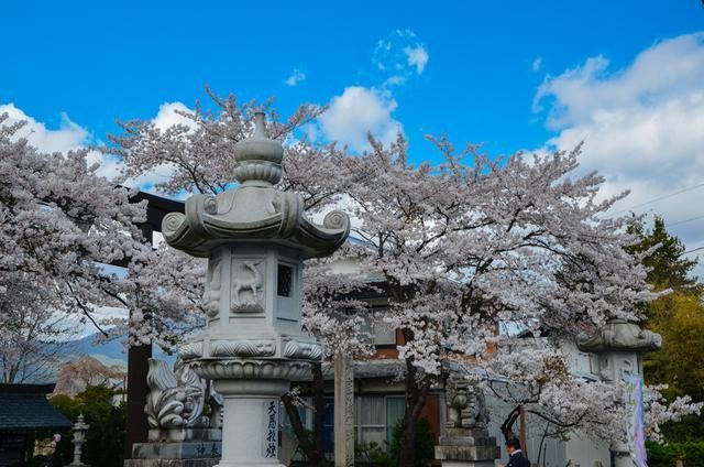 茄子 香草 草莓 丝瓜 榴莲污