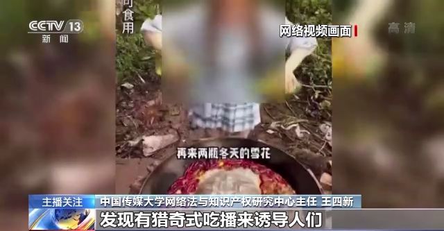 vam动漫同人 能产出非常逼真和动态的内容